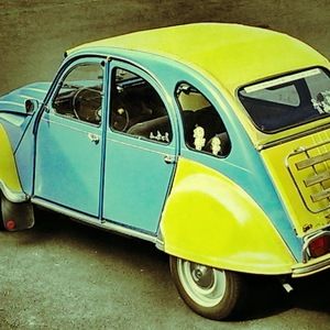 Meet your Posher, George